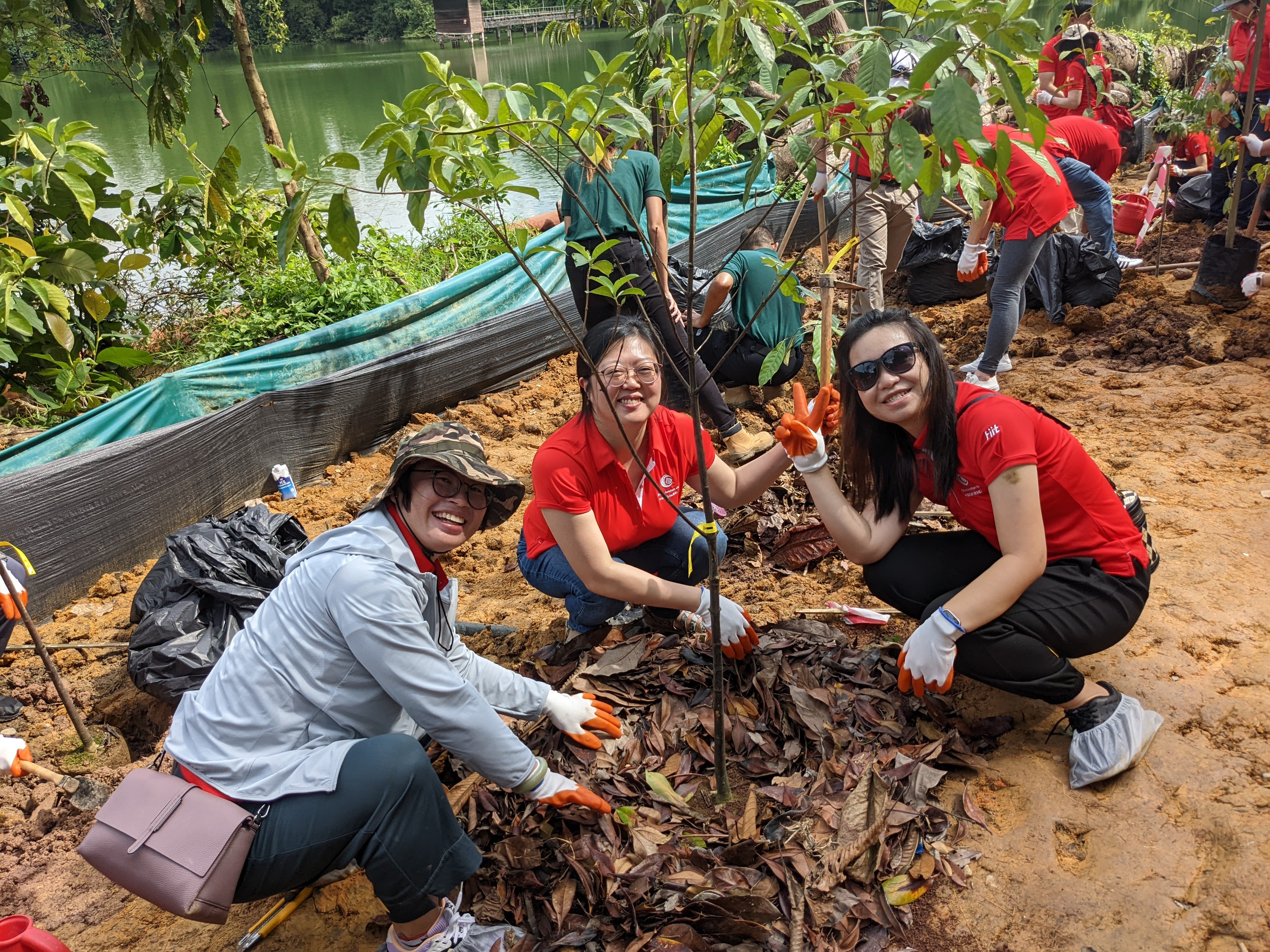 CAO staff planting trees